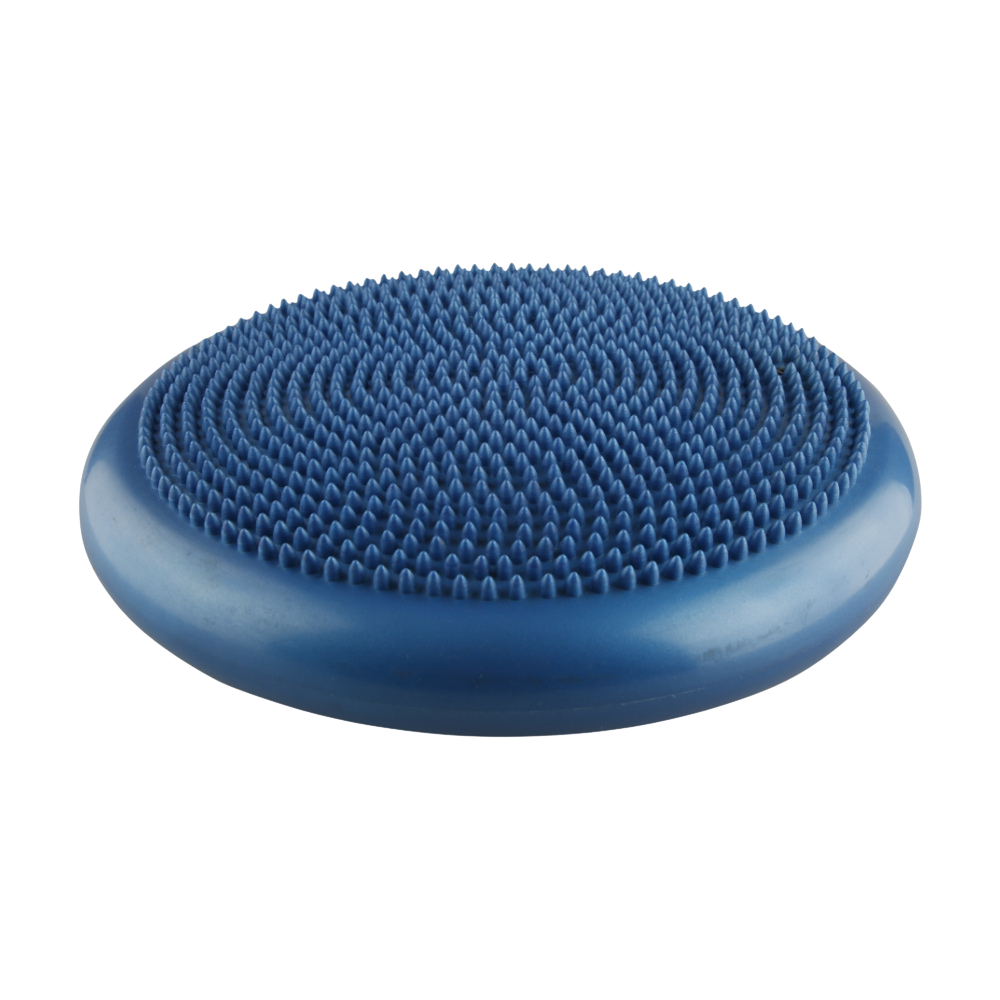 Disco de equilíbrio FISIOPAUHER