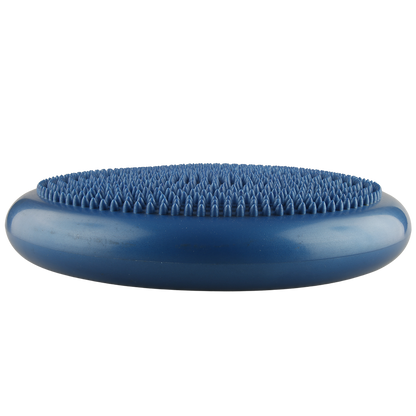 Disco de equilíbrio FISIOPAUHER