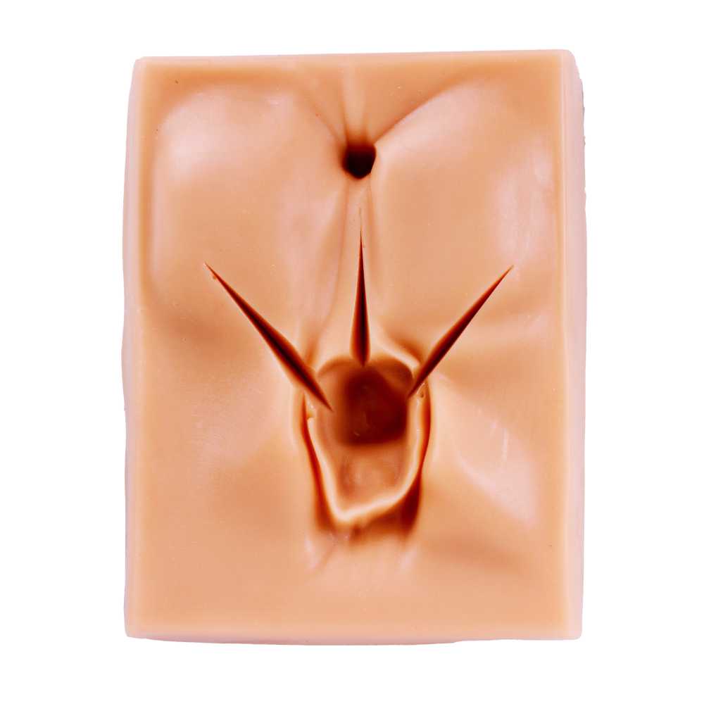 Simulador de sutura genitália feminina 3D