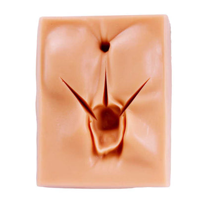 Simulador de sutura genitália feminina 3D