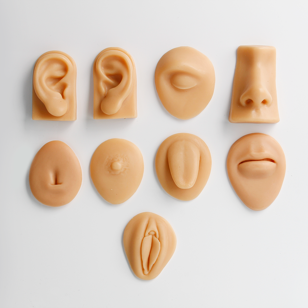 Kit com 9 modelos anatômicos